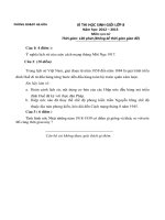 Đề thi học sinh giỏi Lịch sử lớp 8 số 13