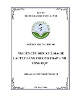 Nghiên cứu điều chế magie lactat bằng phương pháp sinh tổng hợp