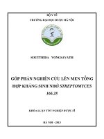 Góp phân nghiên cứu lên men tổng hợp kháng sinh nhờ streptomyces 166.28