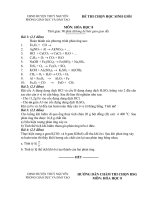Đề thi chọn học sinh giỏi môn Hóa học lớp 8 số 5
