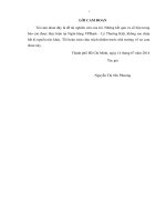 Giải pháp nâng cao chất lượng tín dụng doanh nghiệp tại ngân hàng thương mại cổ phần Việt Nam Thịnh Vượng- phòng giao dịch Lý Thường Kiệt