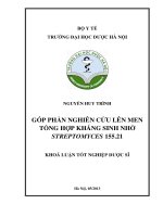 Góp phần nghiên cứu lên men tổng hợp kháng sinh nhờ streptomyces 155 21