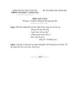 Đề thi học sinh giỏi Ngữ văn lớp 8 số 15