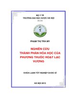 Nghiên cứu thành phần hóa học của phương thuốc hoạt lạc vương