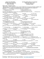 Đề thi thử đại học môn Tiếng Anh (11)