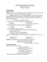Đề ngữ văn 6 - đề kiểm tra, thi định kỳ học sinh giỏi tham khảo bồi dưỡng (145)