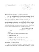 đề thi minh họa hướng dẫn chấm môn ngữ văn 12 sở giáo dục đào tạo bắc ninh đề số 13
