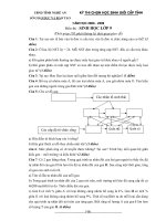 Đề thi học sinh giỏi Sinh học lớp 9 chọn lọc số 8