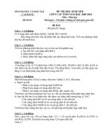 Đề thi học sinh giỏi môn Hóa học lớp 9 cấp huyện số 1