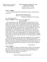 Đề ngữ văn 6 - đề kiểm tra, thi định kỳ học sinh giỏi tham khảo bồi dưỡng (121)