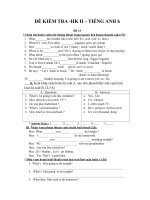 đề kiểm tra học kì 2, tiếng anh 6, đề số 13