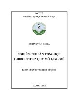 Nghiên cứu bán tổng hợp carbocistein quy mô 1,0 KG mẻ