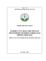 Nghiên cứu bào chế pellet metformin hydroclorid giải phóng kéo dài