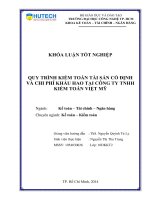 Quy trình kiểm toán tài sản cố định và chi phí khấu hao tại công ty TNHH kiểm toán Việt Mỹ