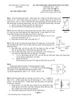 Đề thi học sinh giỏi môn vật lý lớp 10 (99)