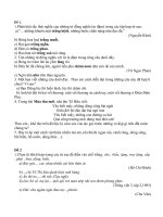 Đề ngữ văn 6 - đề kiểm tra, thi định kỳ học sinh giỏi tham khảo bồi dưỡng (20)