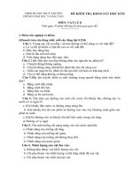 Đề thi môn vật lý lớp 8 - kiểm tra học kì, thi học sinh giỏi tham khảo bồi dưỡng (133)