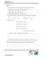 Đề thi tuyển sinh vào trường THCS Amsterdam 2010 môn tiếng việt