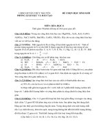 Đề thi chọn học sinh giỏi môn Hóa học lớp 8 số 16