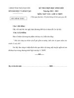 Đề thi học sinh giỏi môn vật lý lớp 11 (69)