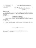 Đề thi học sinh giỏi môn Ngữ văn lớp 9 cấp huyện số 2