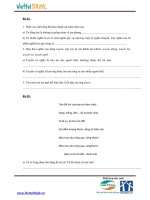 Đề thi tuyển sinh vào trường THCS Amsterdam 2012 môn tiếng việt