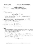 Đề thi thử học sinh giỏi Lớp 12 môn Toán năm 2013 (10)