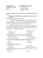 Đề ngữ văn 6 - đề kiểm tra, thi định kỳ học sinh giỏi tham khảo bồi dưỡng (33)
