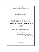 Nghiên cứu kháng sinh do streptomyces 183 211 tổng hợp được