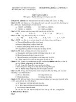 Đề thi môn vật lý lớp 8 - kiểm tra học kì, thi học sinh giỏi tham khảo bồi dưỡng (92)