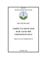 Nghiên cứu kháng sinh được tạo ra bởi streptomyces 183 23