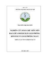 Nghiên cứu bào chế viên nén hai lớp amoxicilin giải phóng kéo dài và giải phóng ngay