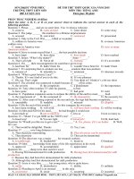 Đề thi thử đại học môn Tiếng Anh (2)