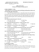 Đề ngữ văn 6 - đề kiểm tra, thi định kỳ học sinh giỏi tham khảo bồi dưỡng (56)
