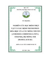 Nghiên cứu đặc điểm thực vật và xác định thành phần hóa học của cây mồng tơi núi anredera cordifolia (TEN ) steenis, họ mồng tơi (basellaceae)