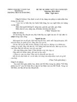Đề ngữ văn 6 - đề kiểm tra, thi định kỳ học sinh giỏi tham khảo bồi dưỡng (114)