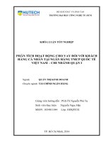Phân tích hoạt động cho vay đối với khách hàng cá nhân tại ngân hàng TMCP Quốc Tế Việt Nam - Chi nhánh quận 1
