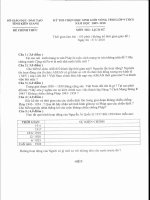 Đề thi học sinh giỏi tỉnh Kiên Giang môn Sử năm học 2009 - 2010(có đáp án)