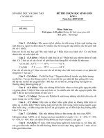 Đề thi học sinh giỏi môn sinh học lớp 9 cấp huyện số 1