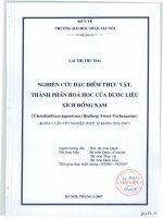 Nghiên cứu đặc điểm thực vật, thành phần hóa học của dược liệu xích đồng nam phần 1