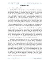 Nâng cao hiệu quả hoạt động cho vay tiêu dùng tại ngân hàng thương mại cổ phần Đông Nam Á