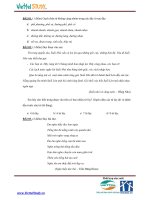 Đề thi tuyển sinh vào trường THCS Amsterdam 2006 môn tiếng việt