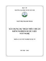 Xây dựng dự thảo tiêu chuẩn kiểm nghiệm dược liệu nần nghệ