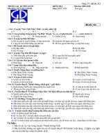 Đề ngữ văn 6 - đề kiểm tra, thi định kỳ học sinh giỏi tham khảo bồi dưỡng (32)