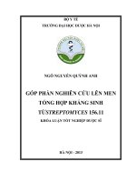Góp phần nghiên cứu lên men tổng hợp kháng sinh từ streptomyces 156.11