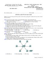 Đề và đáp án Tin học 10  chuyên Lý Tự Trọng Cần Thơ.PDF