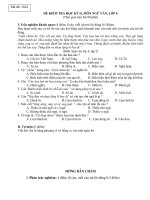 Đề ngữ văn 6 - đề kiểm tra, thi định kỳ học sinh giỏi tham khảo bồi dưỡng (147)