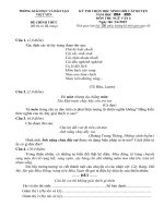 Đề ngữ văn 6 - đề kiểm tra, thi định kỳ học sinh giỏi tham khảo bồi dưỡng (47)