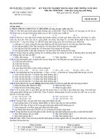 Đề thi tốt nghiệp THPT năm 2013 môn Sinh học (Hệ Phổ Thông) - Có đáp án