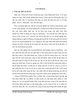 Phân tích hoạt động Marketing- Mix tại công ty TNHH Dược phẩm Tâm An Phát